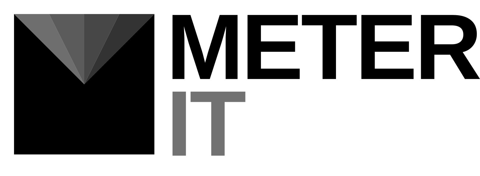 METER IT logo